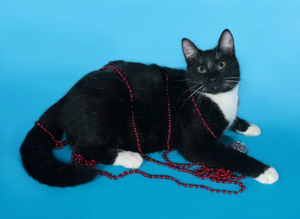 Schwarz-weiße Katze eingewickelt Weihnachtskugeln liegt auf blau — Stockfoto