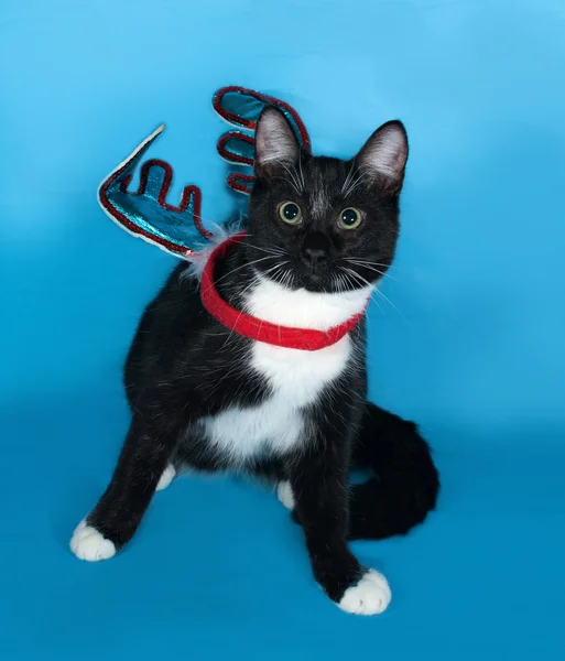 Black and white cat with Christmas decoration on neck sitting on — Stock Photo, Image