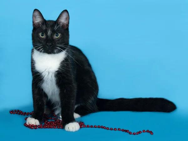 Schwarz-weiße Katze mit Weihnachtskugeln liegt auf blau — Stockfoto