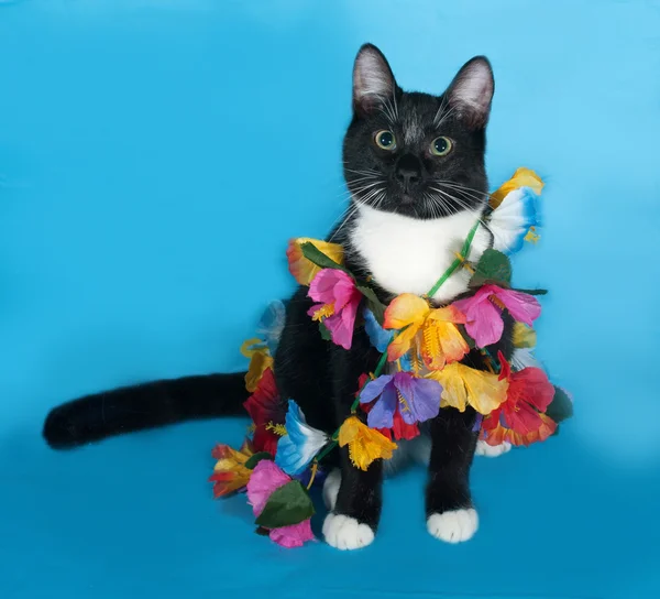 Schwarz-weiße Katze im Dekorationskranz liegt auf blau — Stockfoto