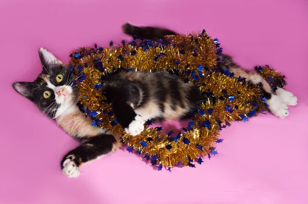 Tricolor Katze eingewickelt Weihnachtslametta, liegend auf rosa — Stockfoto