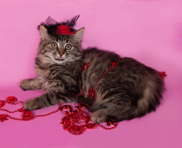 Striped fluffy kitten with Christmas beads lying on pink — Stock Photo, Image