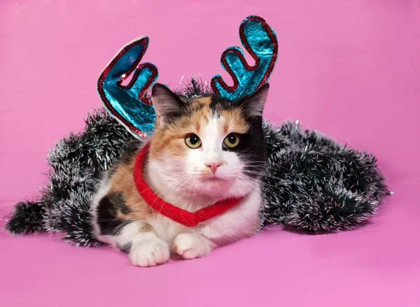 Decorações de Natal tricolor gato deitado em rosa — Fotografia de Stock