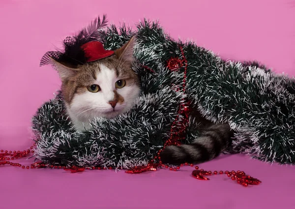 黑白花猫躺在粉红色的圣诞装饰品 — 图库照片