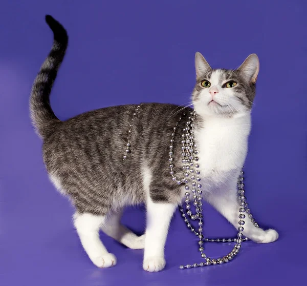 Striped and white cat wrapped with silver beads Christmas standi — Stock Photo, Image