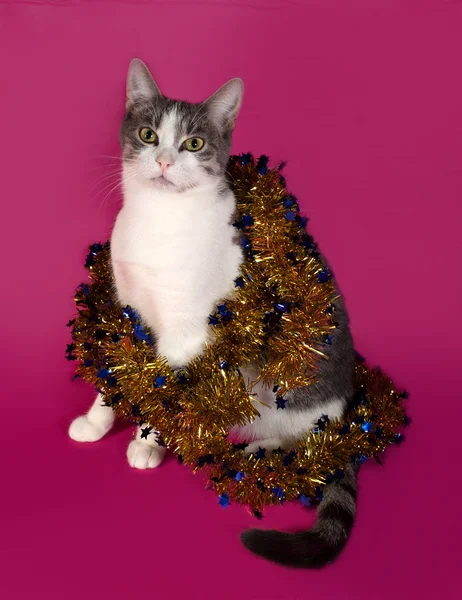 Branco e gato de mesa sentado em ouropel de Natal em rosa — Fotografia de Stock