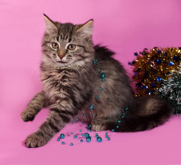 Striped fluffy kitten with Christmas beads sits on pink — Stock Photo, Image