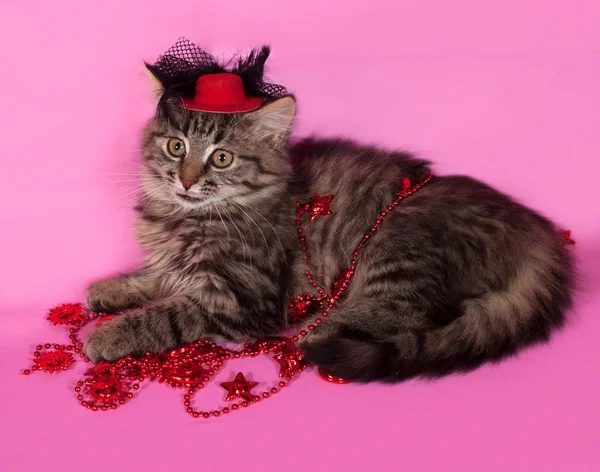 Striped fluffy kitten with Christmas beads lying on pink — Stock Photo, Image