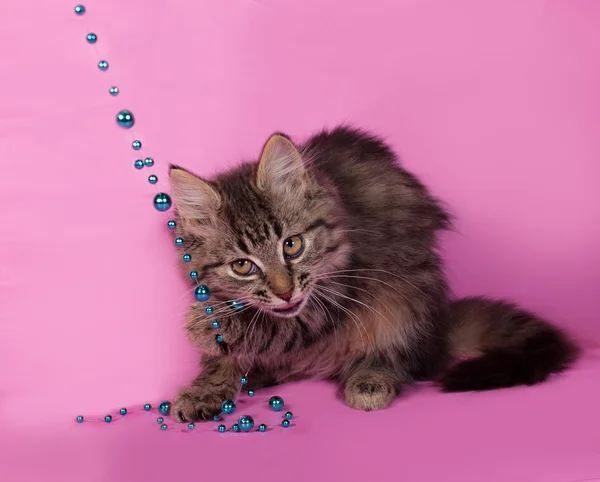 Chaton pelucheux rayé avec des perles de Noël est assis sur rose — Photo