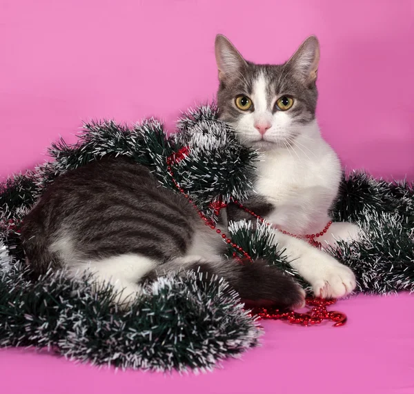 Bílá a šedá kočka v vánoční ozdoby ležela na růžovou — Stock fotografie