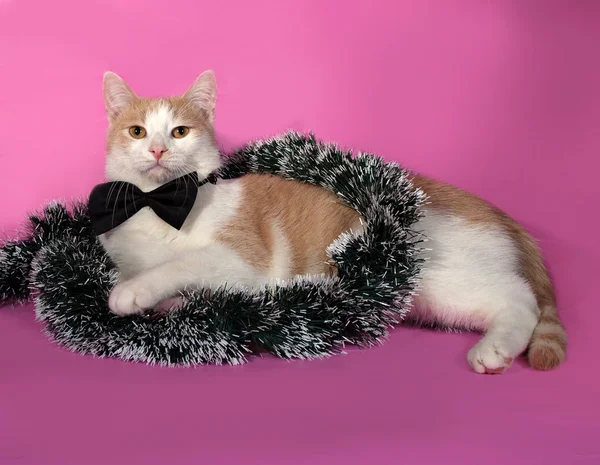 Red and white cat in bow tie wrapped Christmas tinsel sitting on — Stock Photo, Image