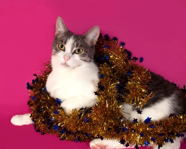 Branco e gato de mesa deitado em ouropel de Natal em rosa — Fotografia de Stock