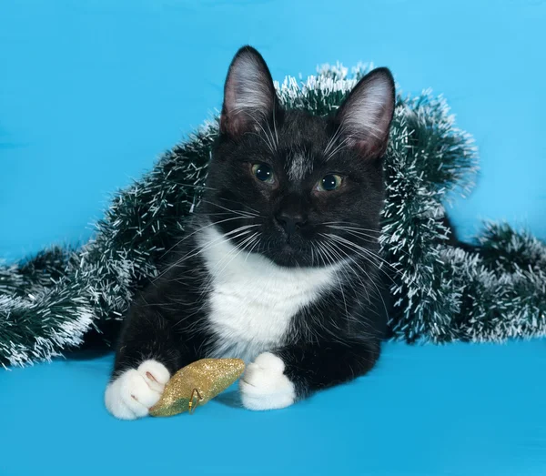 Schwarz-weiße Katze im Weihnachtslametta liegt auf blauem Grund — Stockfoto