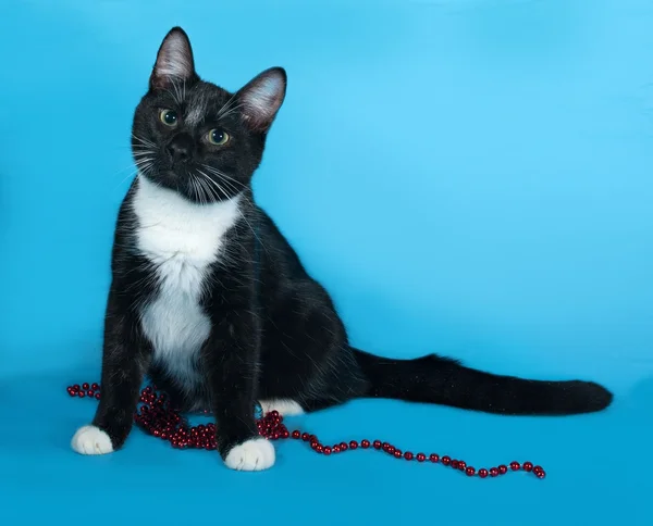 Black and white cat with Christmas beads sitting on blue — Stock Photo, Image