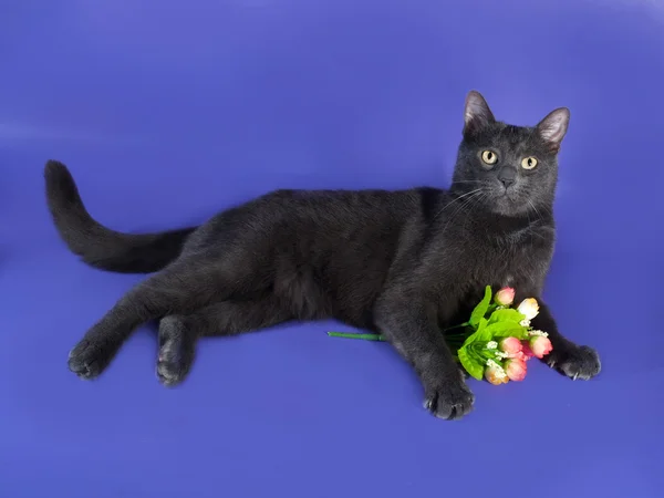 Russian blue cat lying next to bouquet of flowers on lilac — Stock Photo, Image