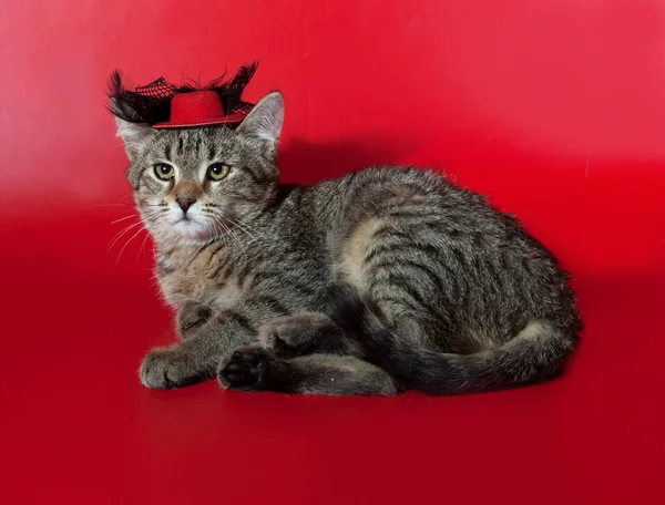 Striped kitten lying on red in red hat — Stock Photo, Image