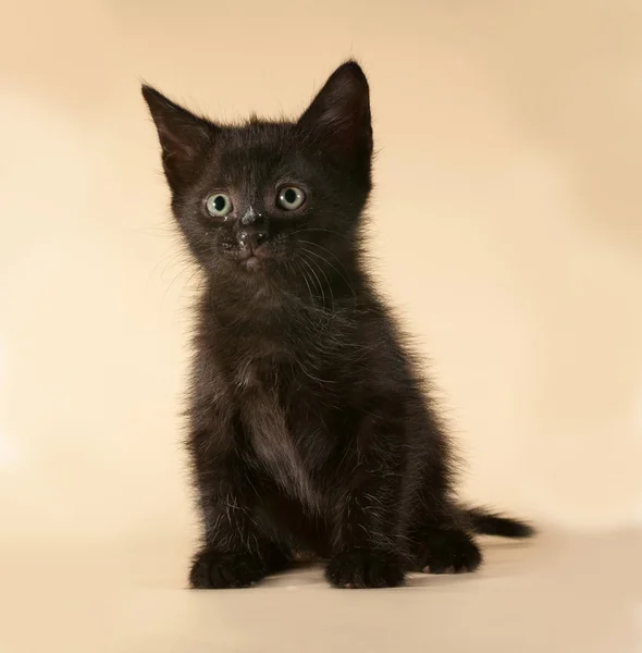 Black kitten sitting on yellow — Stock Photo, Image