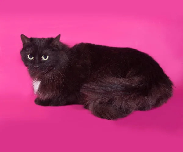 Gato preto deitado no rosa — Fotografia de Stock