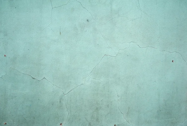 Текстура старої стіни покрита зеленою ліпниною — стокове фото