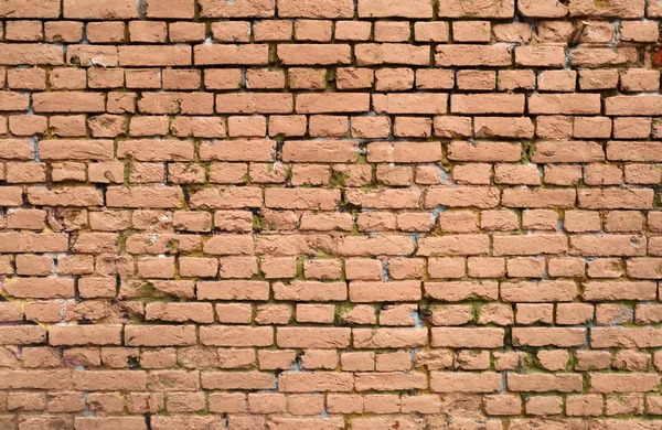 Textur der alten orangefarbenen Ziegelwand — Stockfoto