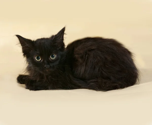 Black fluffy kitten sitting on yellow — Stock Photo, Image