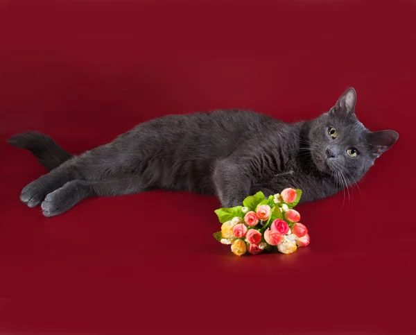 Gatto blu russo sdraiato accanto al mazzo di fiori sul bordeaux — Foto Stock