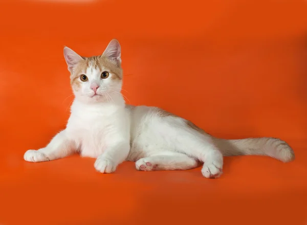 オレンジで横になっている赤と白の子猫 — ストック写真