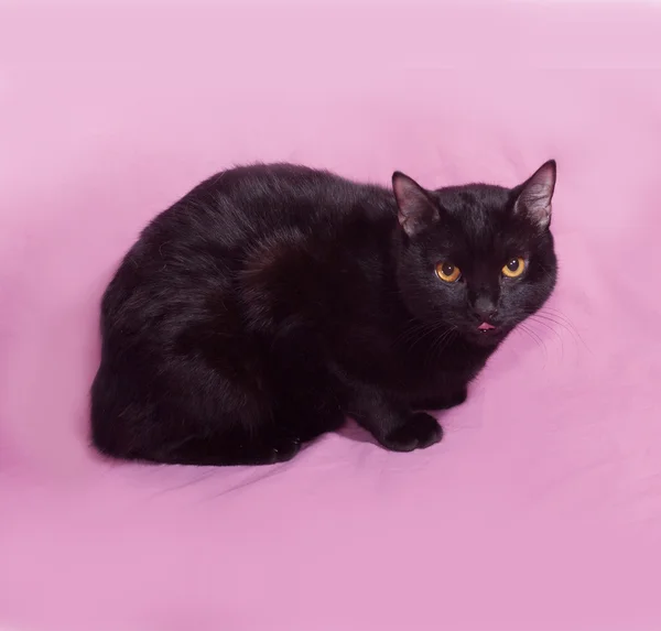 Gatto nero con gli occhi gialli sdraiato sul rosa — Foto Stock