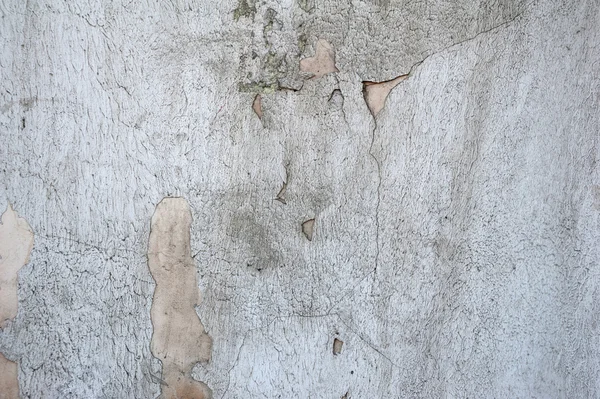 Texture of old wall covered with gray stucco — Stock Photo, Image