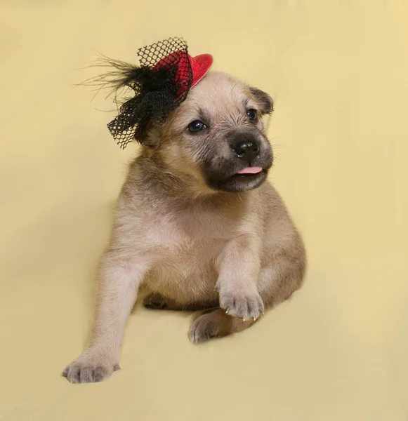 Little yellow puppy in red hat sits on yellow — Stock Photo, Image