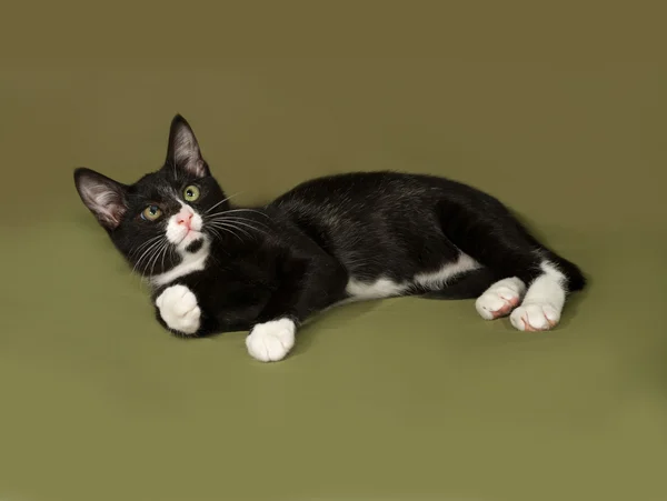 Pequeno gatinho preto e branco encontra-se no verde — Fotografia de Stock