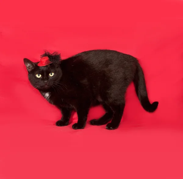 Černá kočka v červeném klobouku je na červené — Stock fotografie