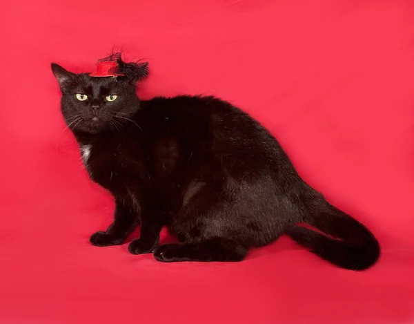 Gato preto em chapéu vermelho está no vermelho — Fotografia de Stock