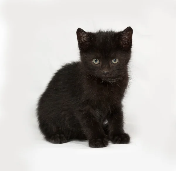 Mały czarny kotek siedzi na szaro — Zdjęcie stockowe