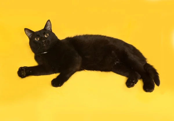 Černá kočka leží na žluté — Stock fotografie