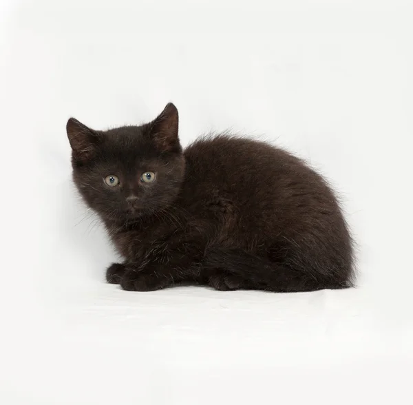 Piccolo gattino nero seduto sul grigio — Foto Stock