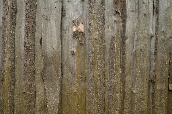 Texture of old gray fence — Stock Photo, Image