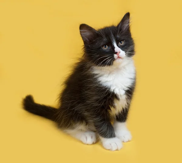 Kleine pluizig zwart-wit kitten zittend op geel — Stockfoto