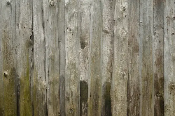 Textura staré šedivé plot — Stock fotografie