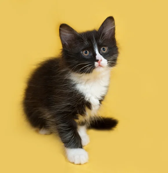 Piccolo gattino bianco e nero morbido seduto sul giallo — Foto Stock