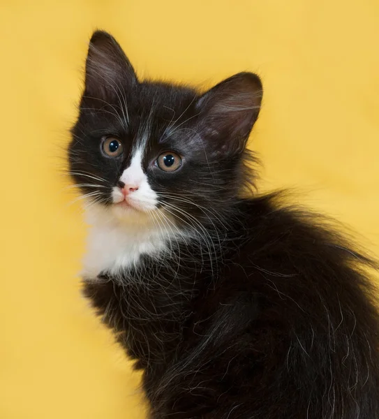Маленький пушистый чёрно-белый котёнок сидит на жёлтом — стоковое фото