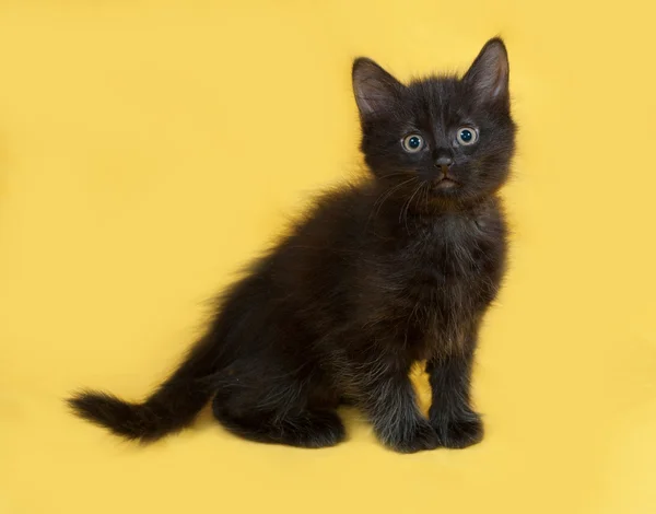 Piccolo gattino nero morbido seduto sul giallo — Foto Stock