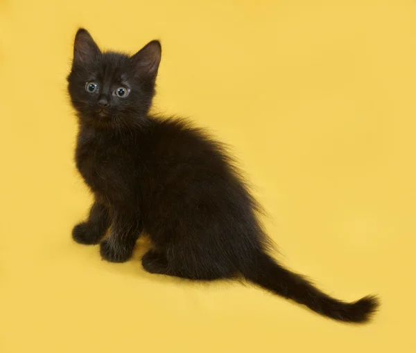 Malé chlupaté černé kotě sedící na žluté — Stock fotografie