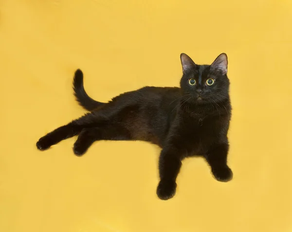 Black cat lying on yellow — Stock Photo, Image