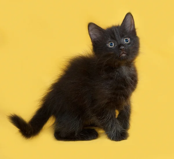 Small fluffy black kitten sitting on yellow — Stock Photo, Image