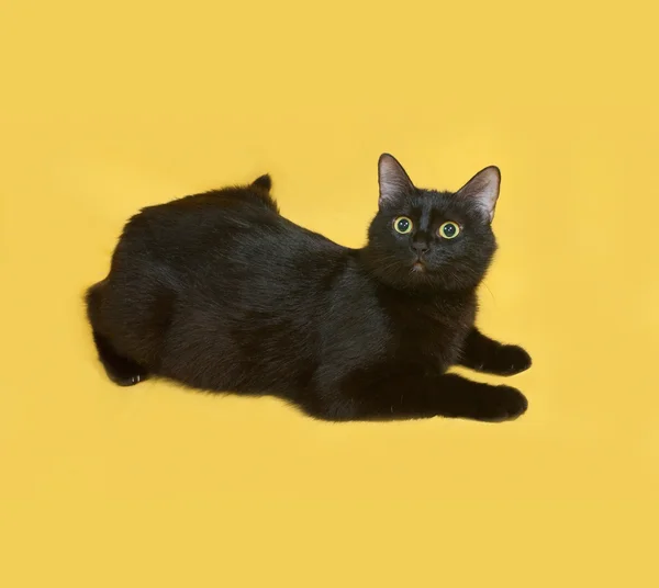 Black cat lying on yellow — Stock Photo, Image