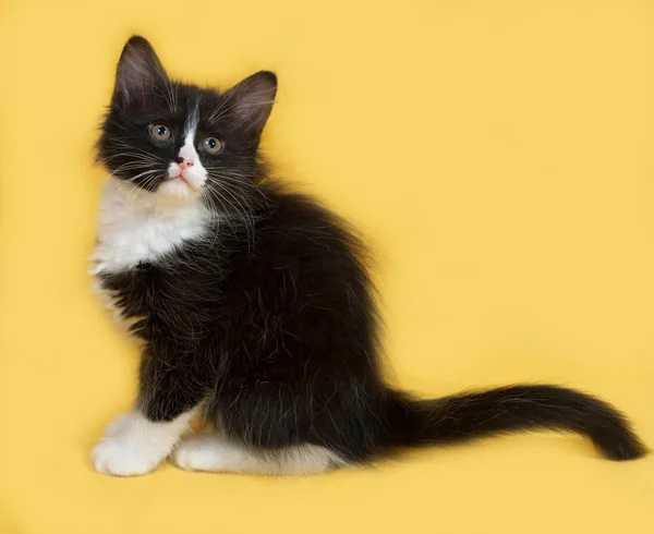 Små fluffiga svartvit kattunge sitter på gul — Stockfoto