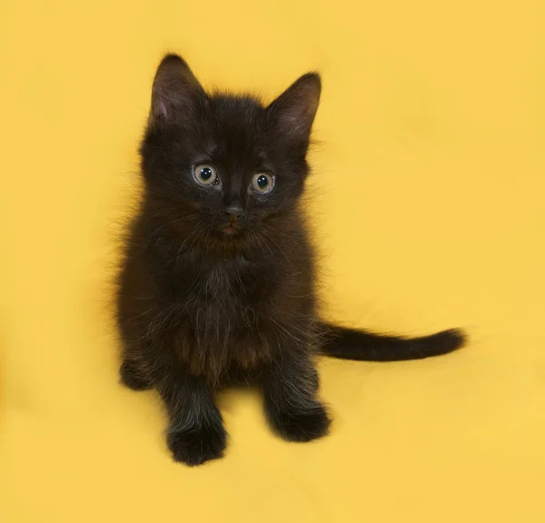 Маленький пушистый чёрный котёнок сидит на жёлтом — стоковое фото