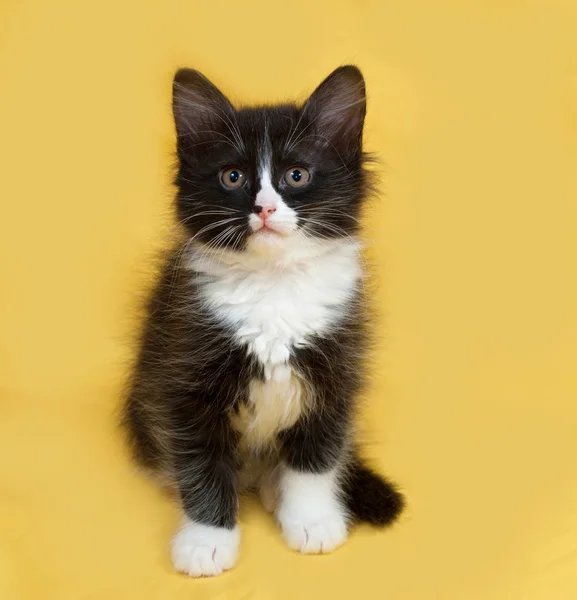 Pequeño gatito mullido blanco y negro sentado en amarillo —  Fotos de Stock