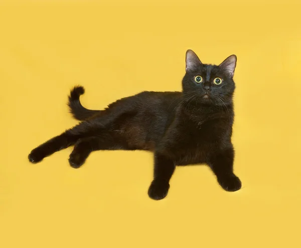 Black cat lying on yellow — Stock Photo, Image